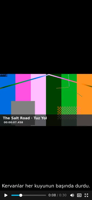 vid
